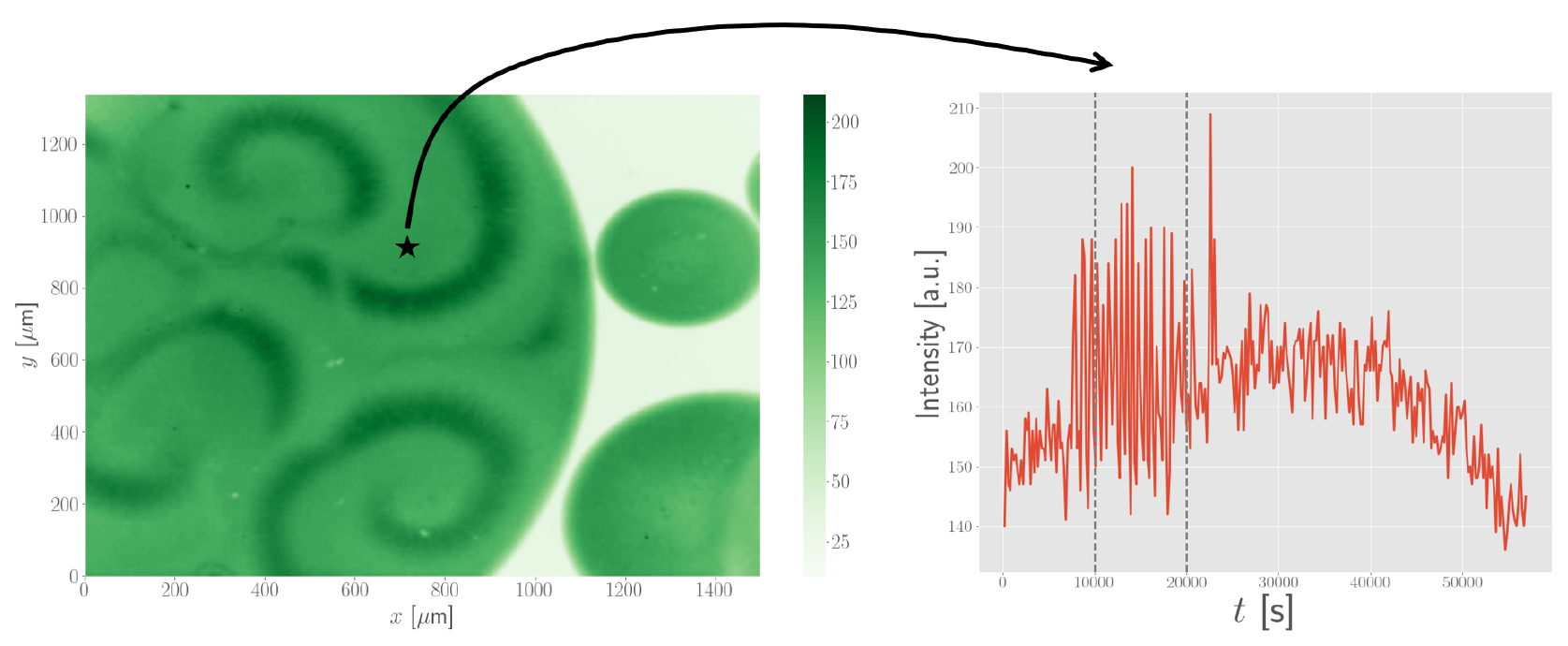 Illustration of extracting a time series out of the data.